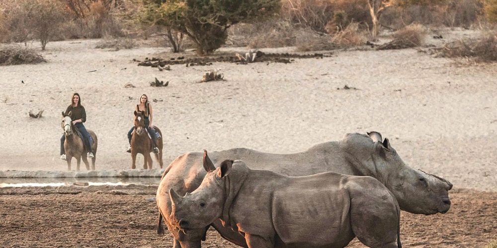 Grassland-Safari-Lodge-Rhino-horseback-Safari-Selections-Botswana-scaled1