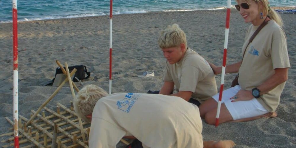 Greece - Mediterranean Sea Turtle Conservation6