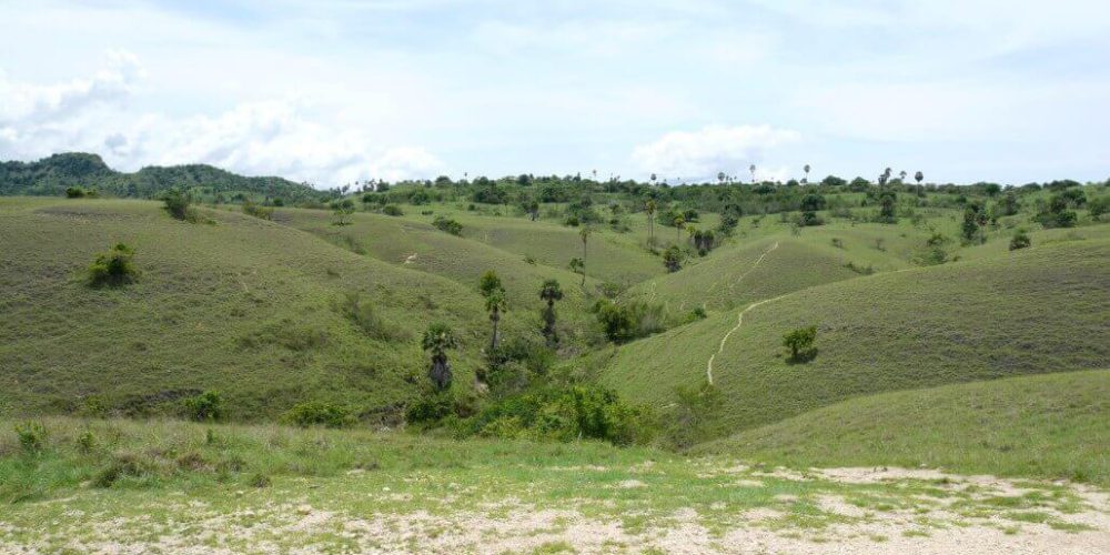 Indonesia - Komodo Dragon Conservation19