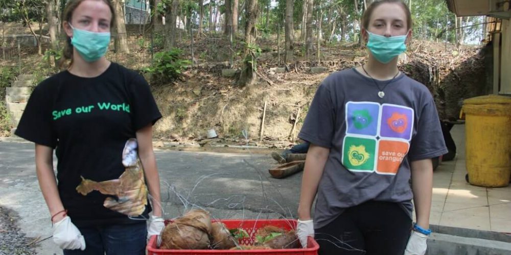 Indonesia - Orangutan and Wildlife Rescue Center17