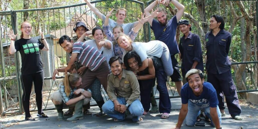 Indonesia - Orangutan and Wildlife Rescue Center30