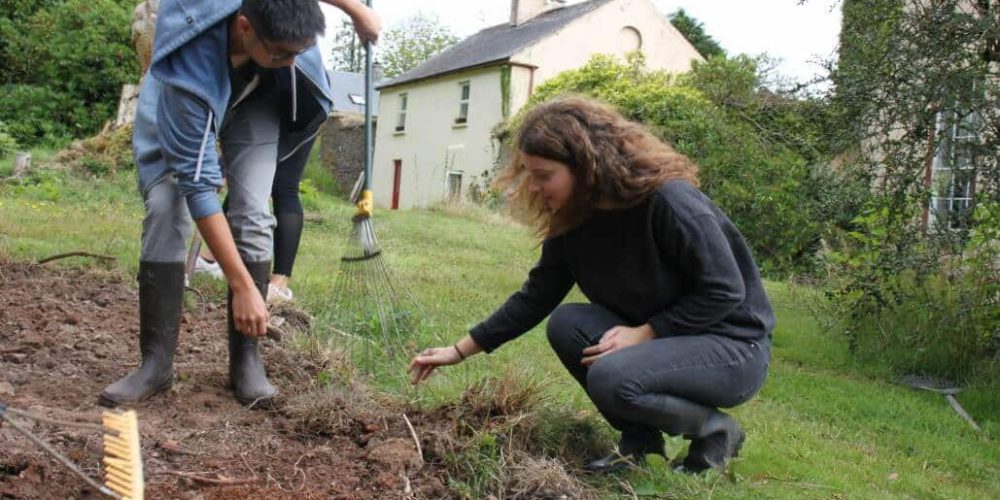 Ireland - Sustainable Farming and Cafe Experience6