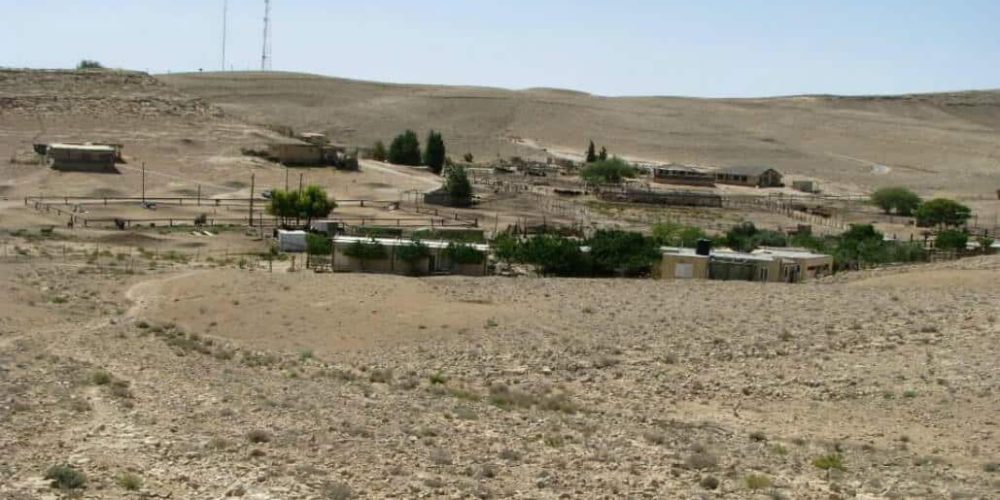 Israel - Desert Alpaca Farm20