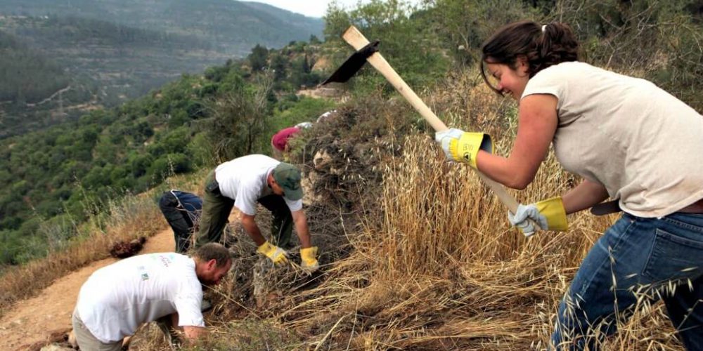 Israel - Sataf Ancient Agriculture1