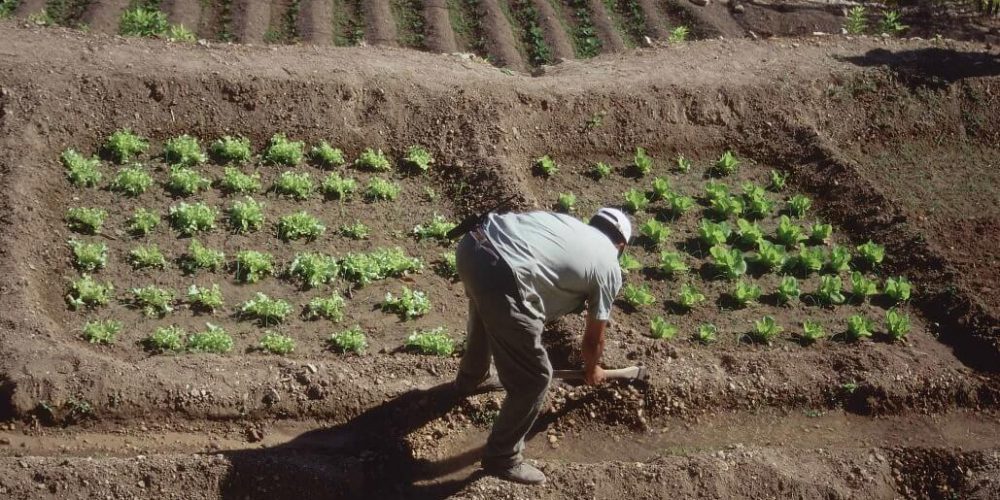 Israel - Sataf Ancient Agriculture11