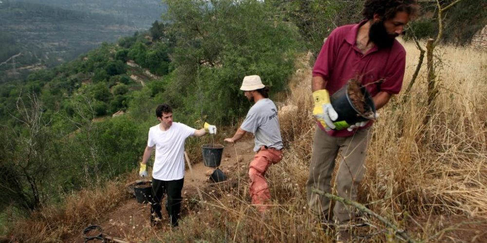 Israel - Sataf Ancient Agriculture18