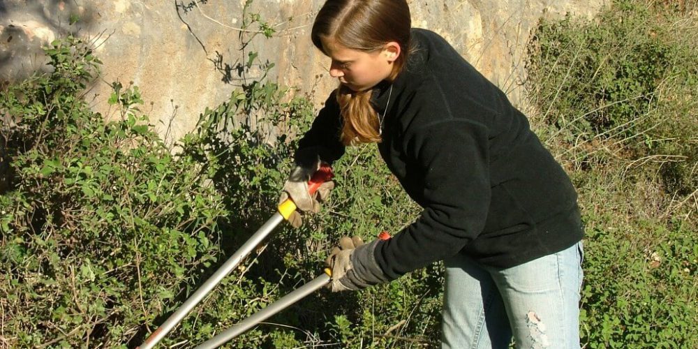 Israel - Sataf Ancient Agriculture3