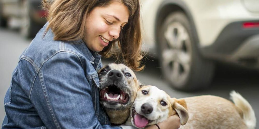 Israel - Tel Aviv Animal Shelter2