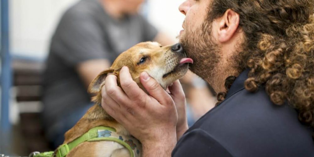 Israel - Tel Aviv Animal Shelter7