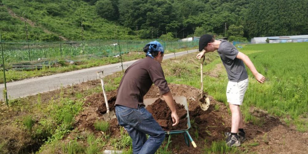 Japan - Otaki Village Agriculture8