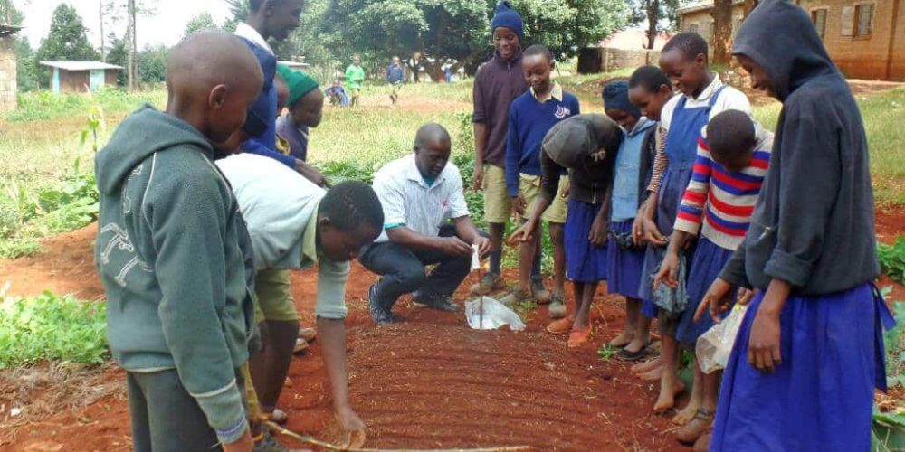 Kenya - Sustainable Village Agriculture13