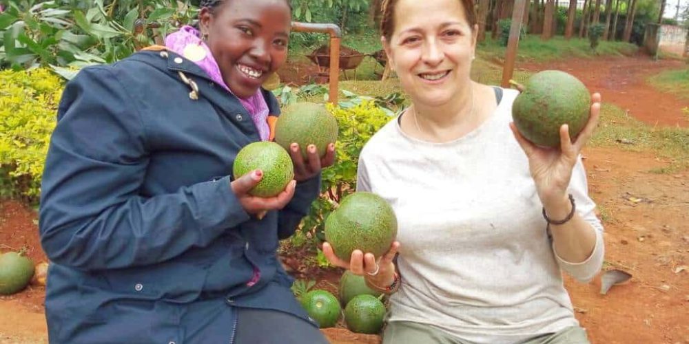 Kenya - Sustainable Village Agriculture7