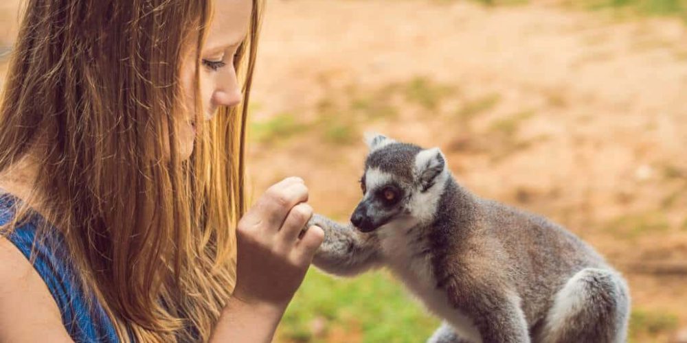 Madagascar - Lemur Conservation32