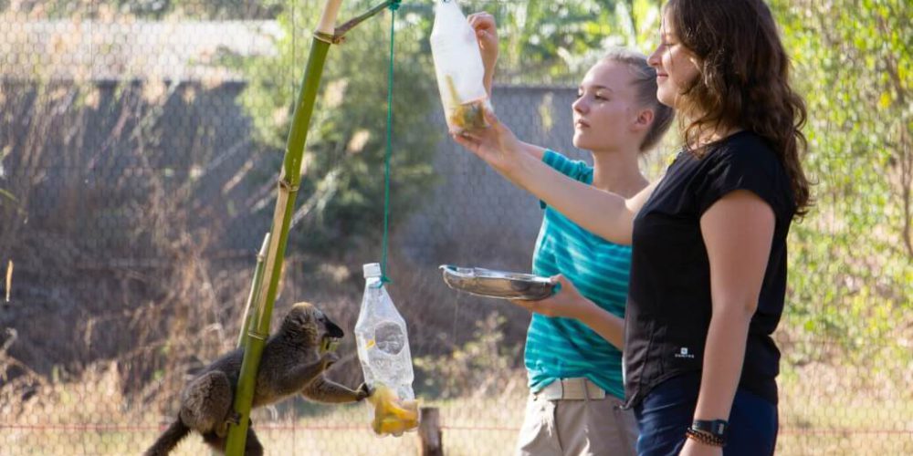 Madagascar - Lemur Conservation38