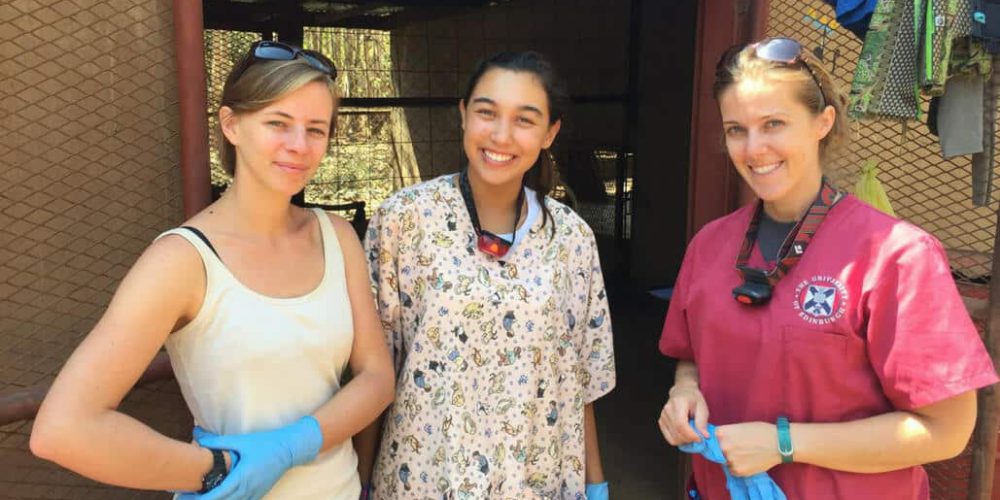 Malawi - Wildlife Rescue Center Veterinary Internship3