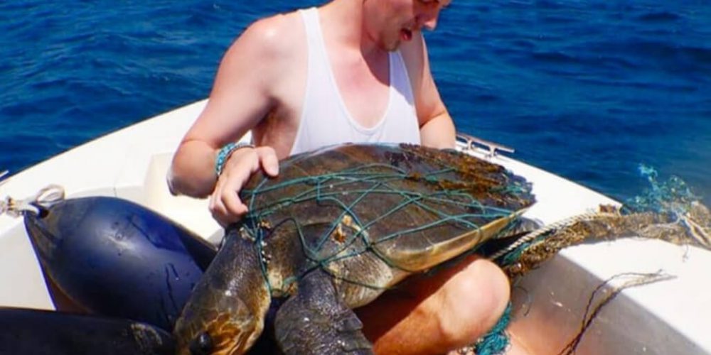 Maldives - Marine and Turtle Conservation10