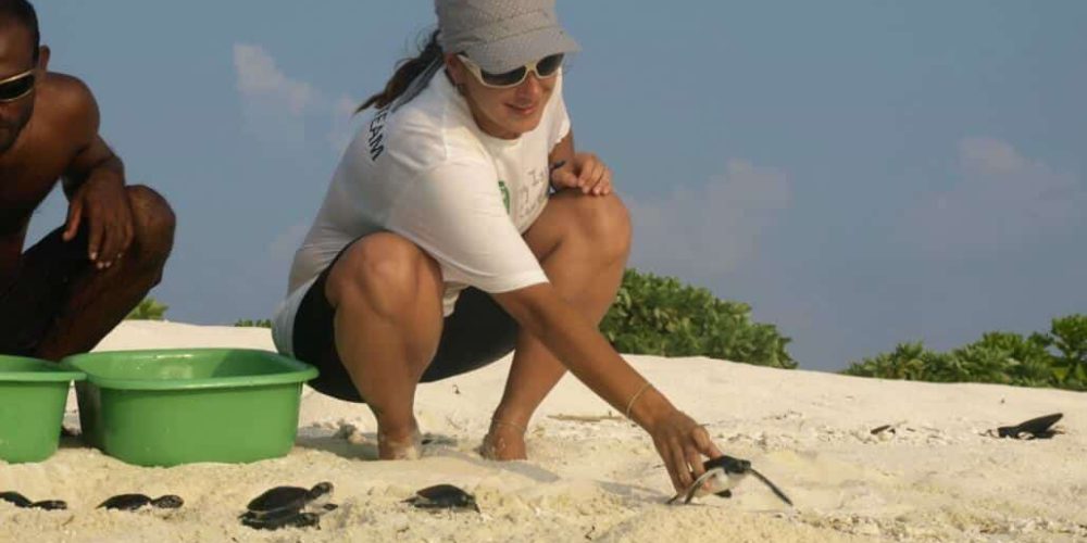 Maldives - Marine and Turtle Conservation25