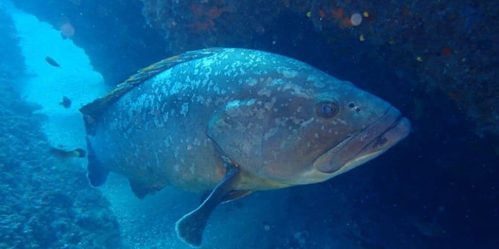 Spain - Marine Conservation in Barcelona 07