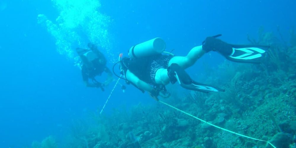 Mexico - Diving for Marine Conservation16