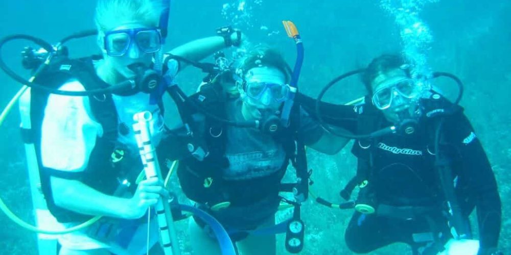 Mexico - Diving for Marine Conservation31