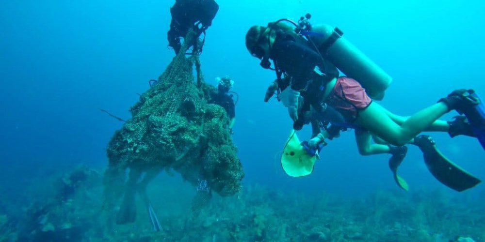 Mexico - Diving for Marine Conservation9