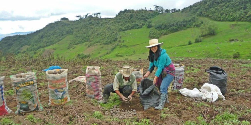 Peru - Culture Week in Cajamarca10