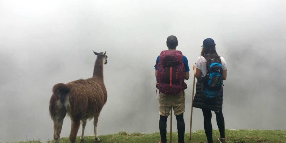 Peru - Teaching Assistance in Cuzco and 4-Day Machu Picchu Trek30