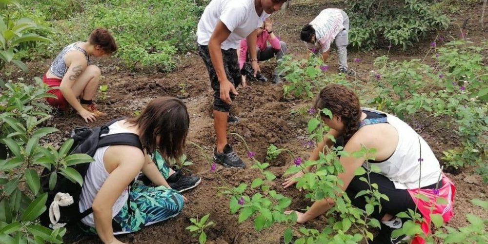 Ecuador - Sea Turtle Conservation and Environmental Outreach 17