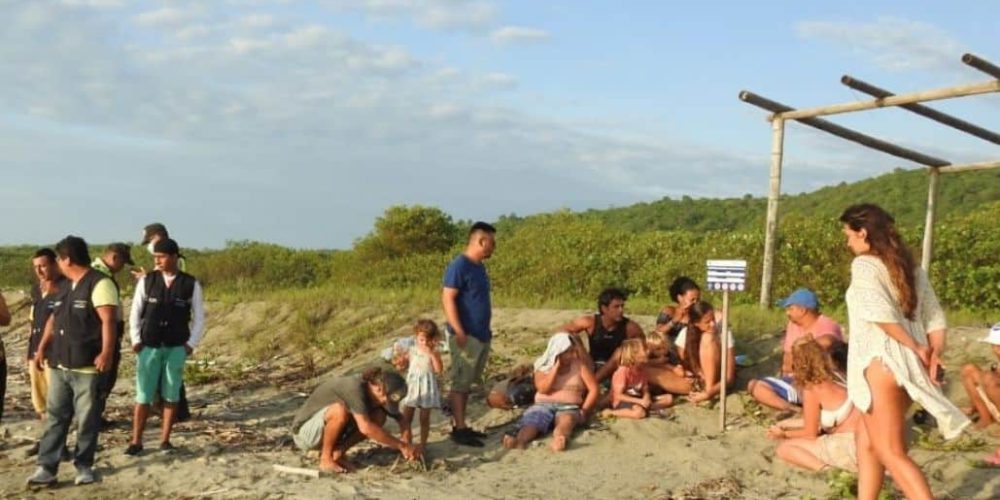 Ecuador - Sea Turtle Conservation and Environmental Outreach 19