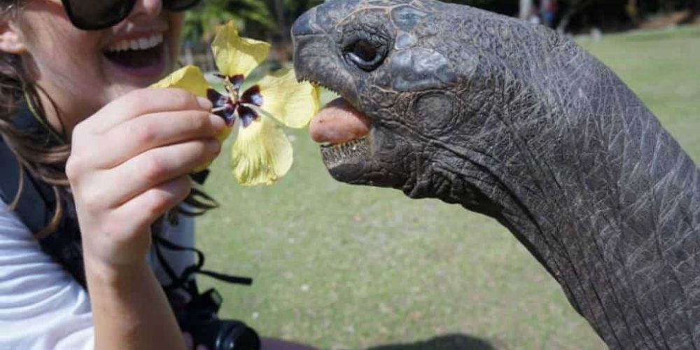 Seychelles - Wildlife Conservation Expedition4