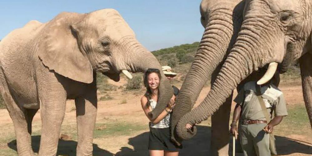 South Africa - African Wildlife Ranch Internship2