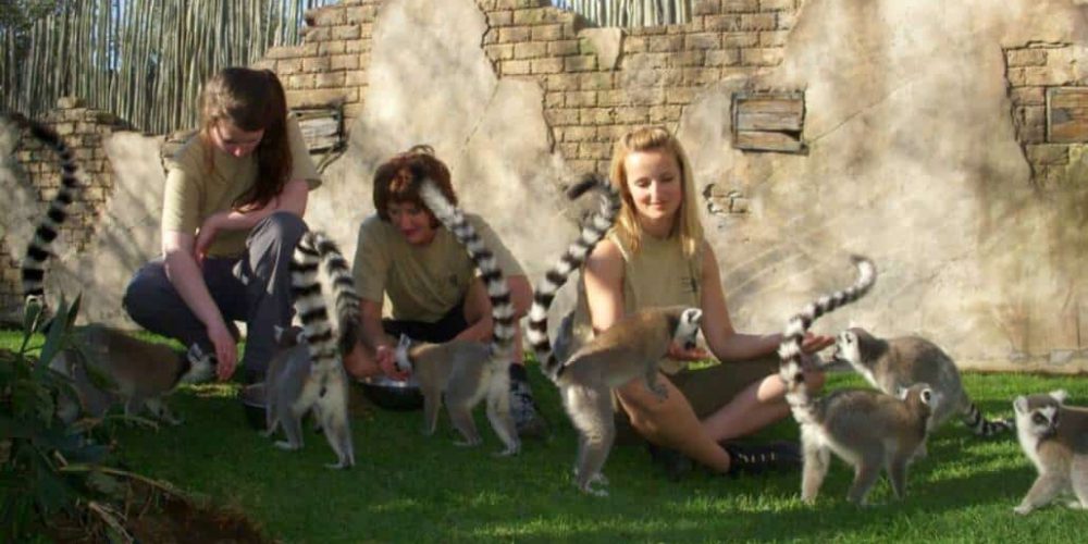 South Africa - African Wildlife Ranch Internship8