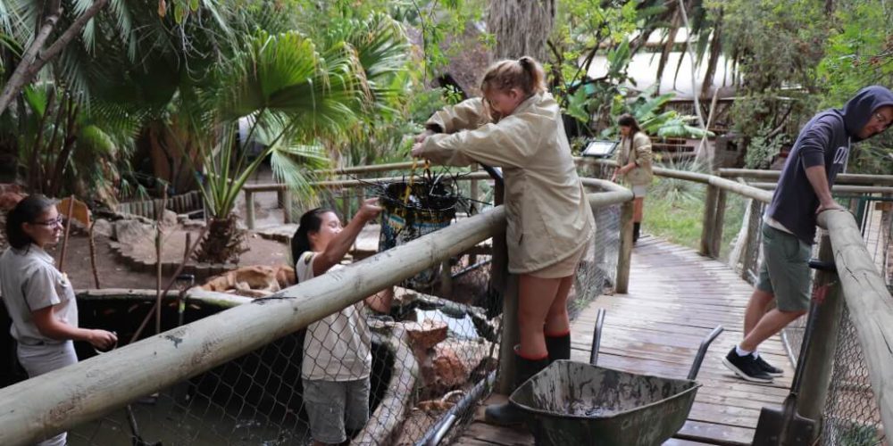 South Africa - African Wildlife Ranch6