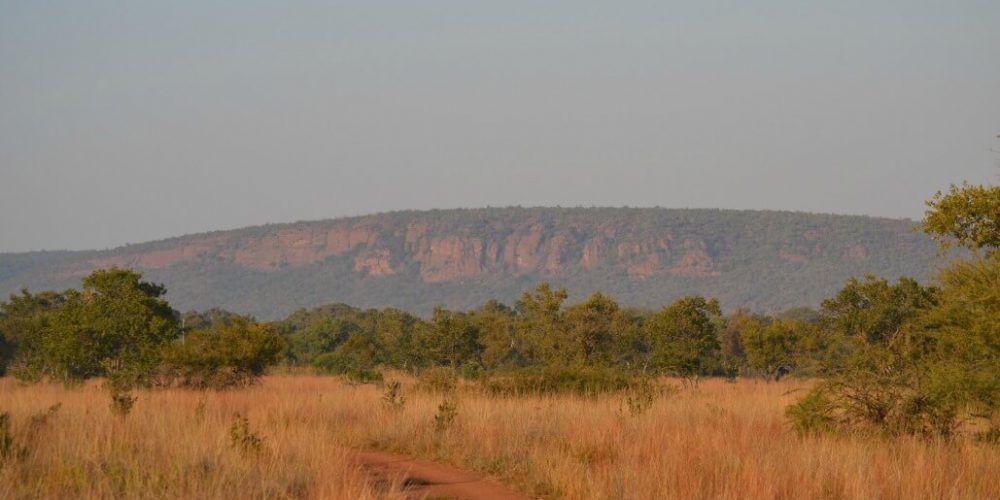 South Africa - Kevin Richardson Wildlife Sanctuary10