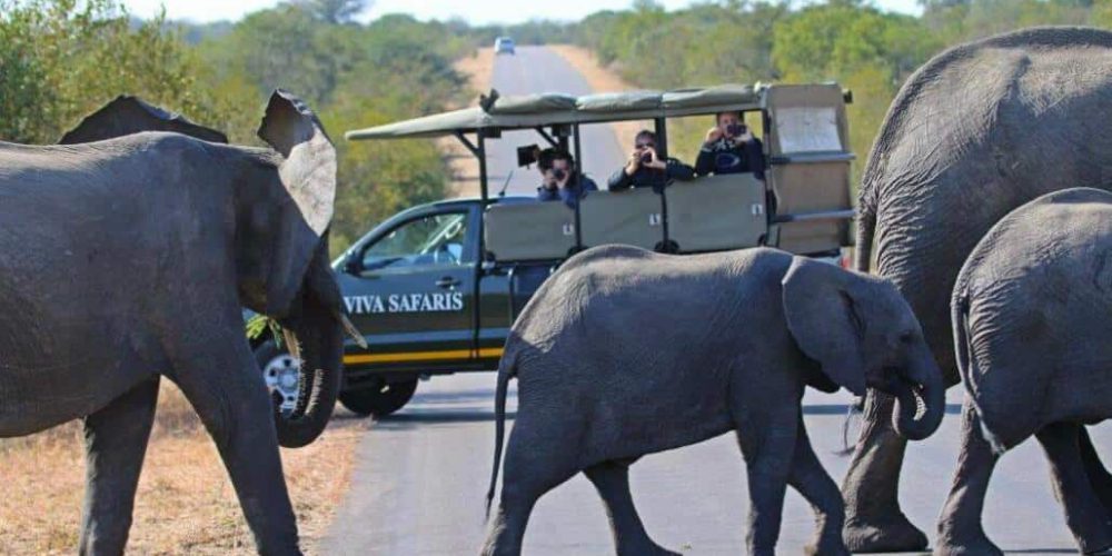 South Africa - Kruger Park & Safari Tour10