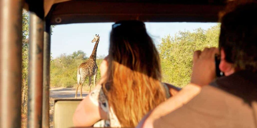 South Africa - Kruger Park & Safari Tour21