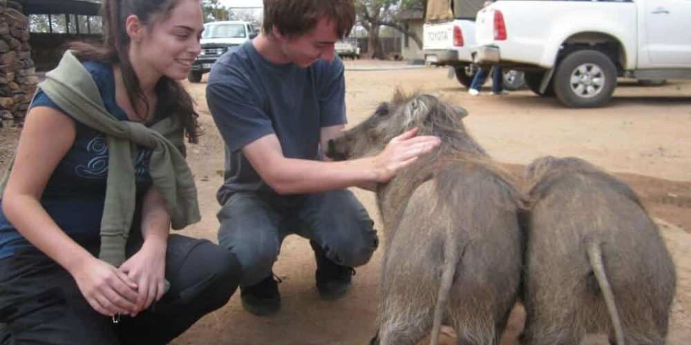 South Africa - Monkey and Wildlife Rehabilitation Center11