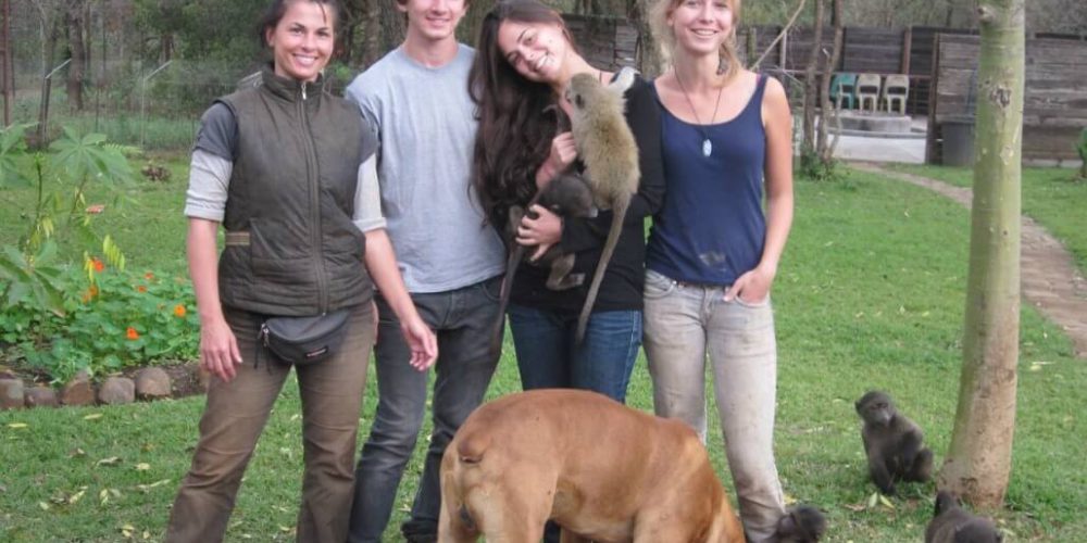 South Africa - Monkey and Wildlife Rehabilitation Center12