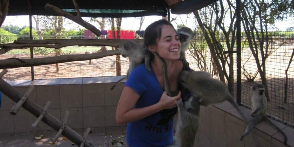 South Africa - Monkey and Wildlife Rehabilitation Center18