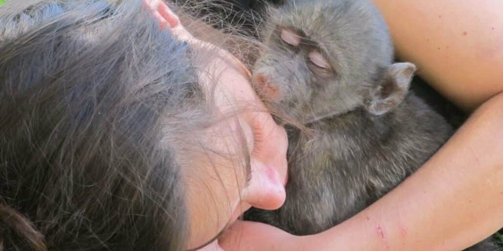 South Africa - Monkey and Wildlife Rehabilitation Center5