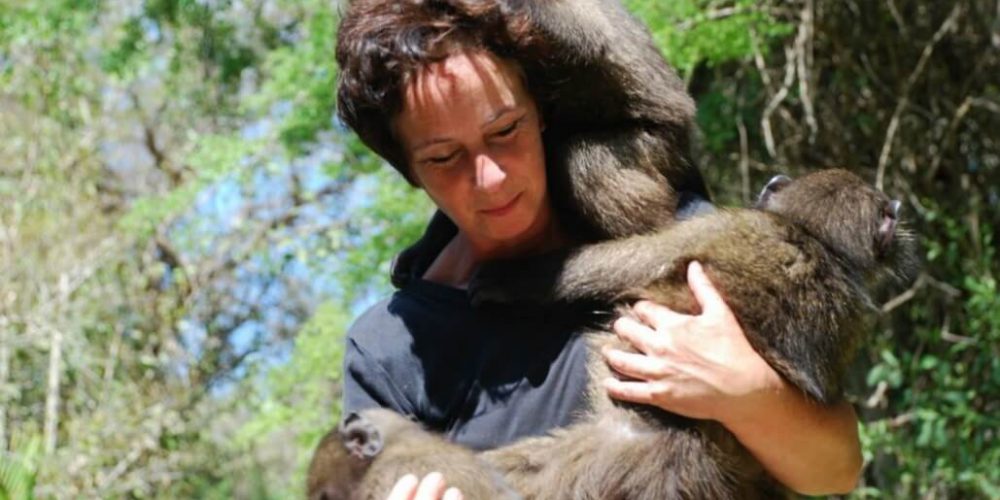South Africa - Monkey and Wildlife Rehabilitation Center7