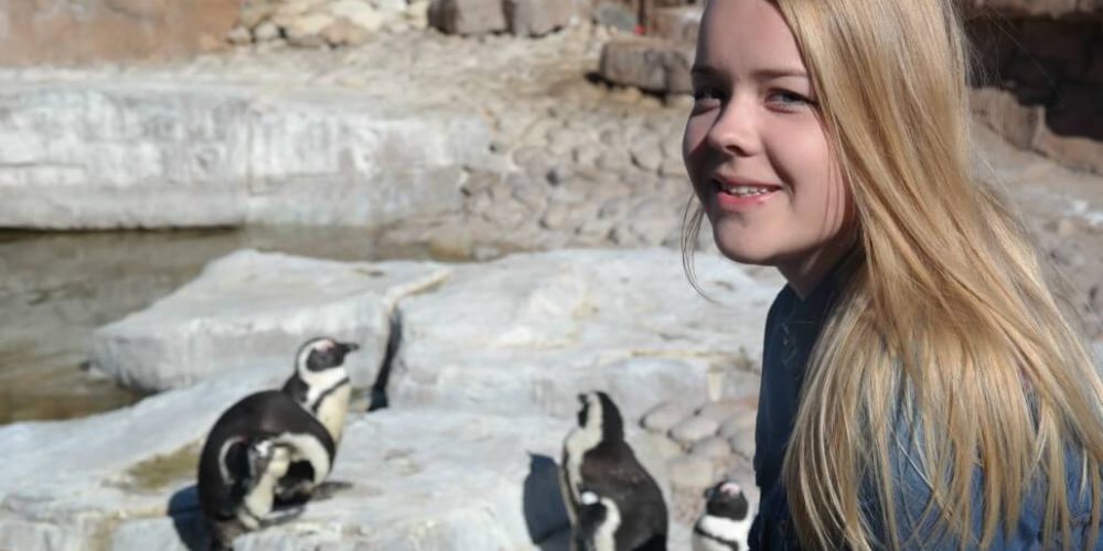 South Africa - Penguin and Marine Bird Sanctuary53