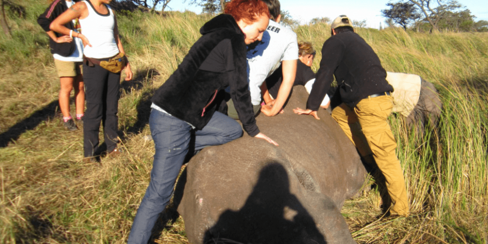 South Africa - Pre-Vet Wildlife Internship15