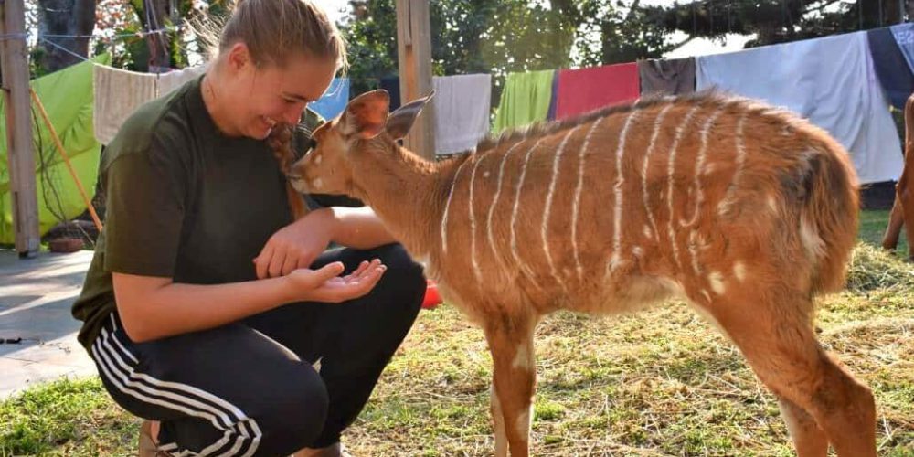 South Africa - Pre-Vet Wildlife Internship3