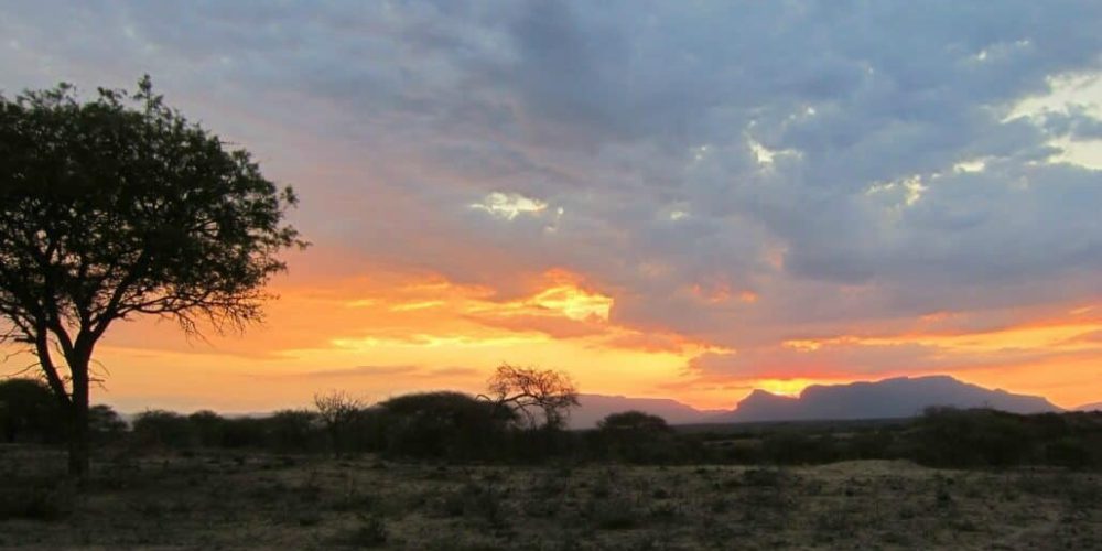 South Africa - The Big 5 Wildlife Reserve in the Greater Kruger Area12