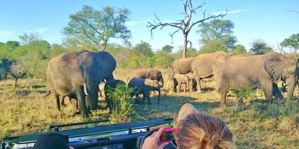 South Africa - The Big 5 Wildlife Reserve in the Greater Kruger Area17