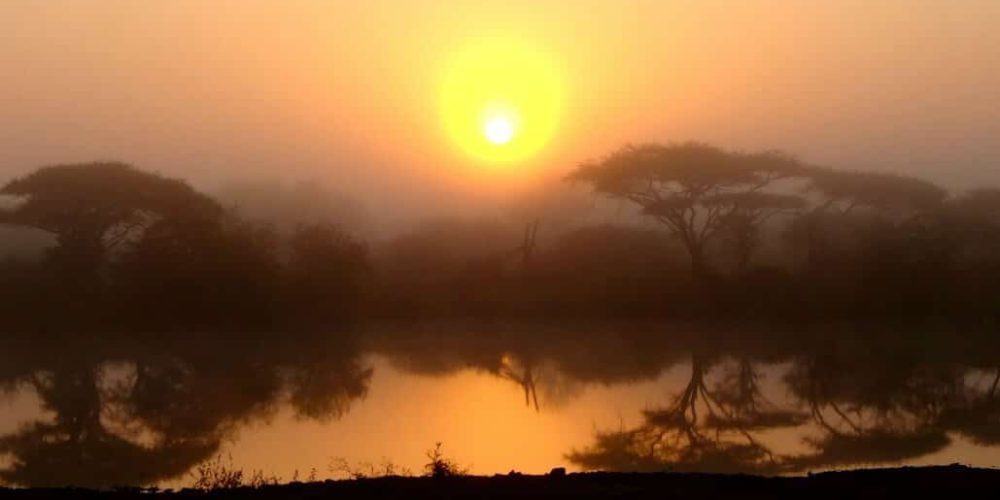 South Africa - The Big 5 Wildlife Reserve in the Greater Kruger Area29