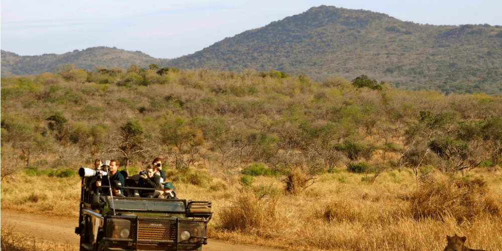 South Africa - The Big 5 Wildlife Reserve in the Greater Kruger Area4