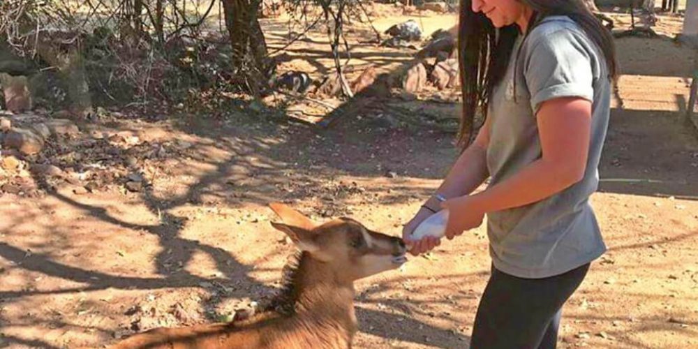 South Africa - Wildlife Rehabilitation Center10