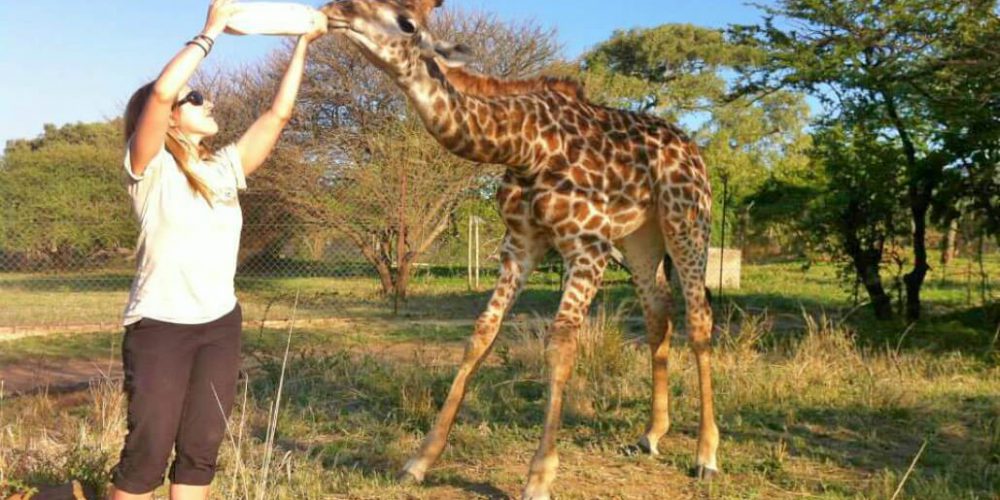 South Africa - Wildlife Rehabilitation Center11